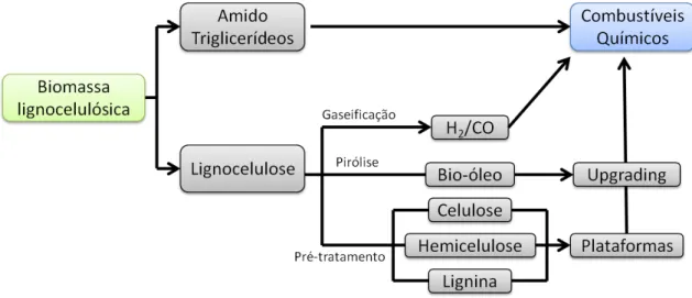 Figura 8: Abordagem de biorrefinaria para a utilização de biomassa lignocelulósica. 