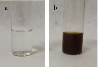 Figura  14:  Comparação  visual  entre  a)  solução  ácida  e  b)  meio  hidrolisado de  Solieria filiformis 