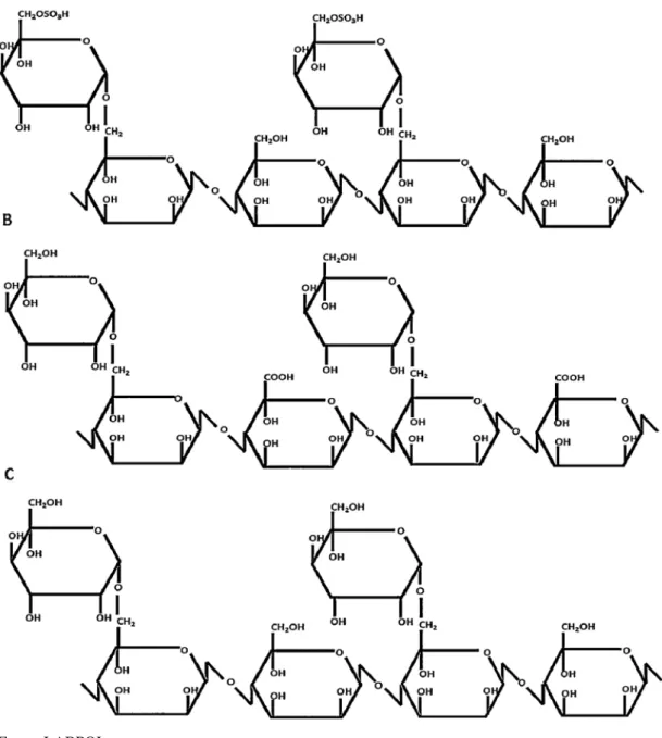 Figura  9  –  Estrutura  química  da  goma  guar  purificada  (DGG:  C)  e  seus  derivados:  oxidada  (DGGOX:  B)  e  sulfatada (DGGSU: A)