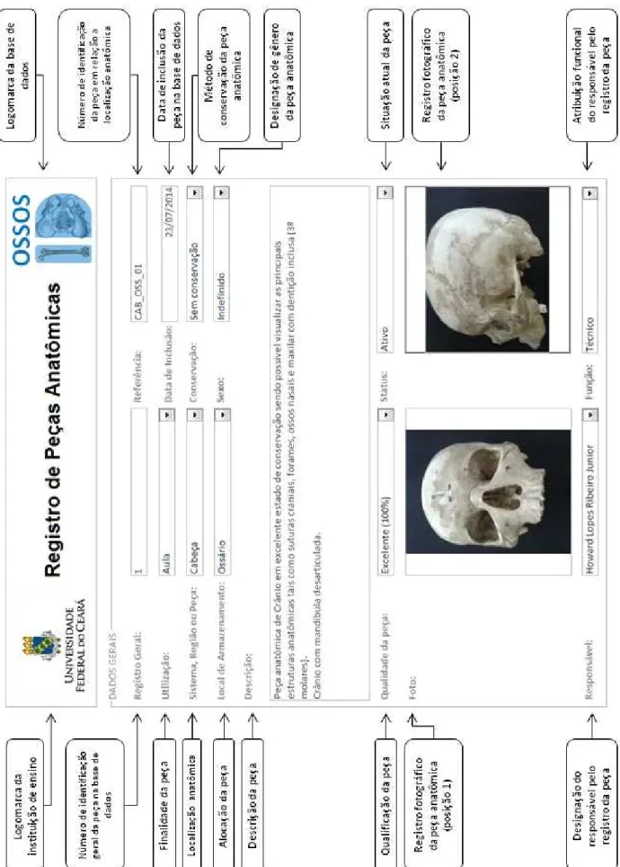 Figura 2 - Layout geral da base de dados OssosID.
