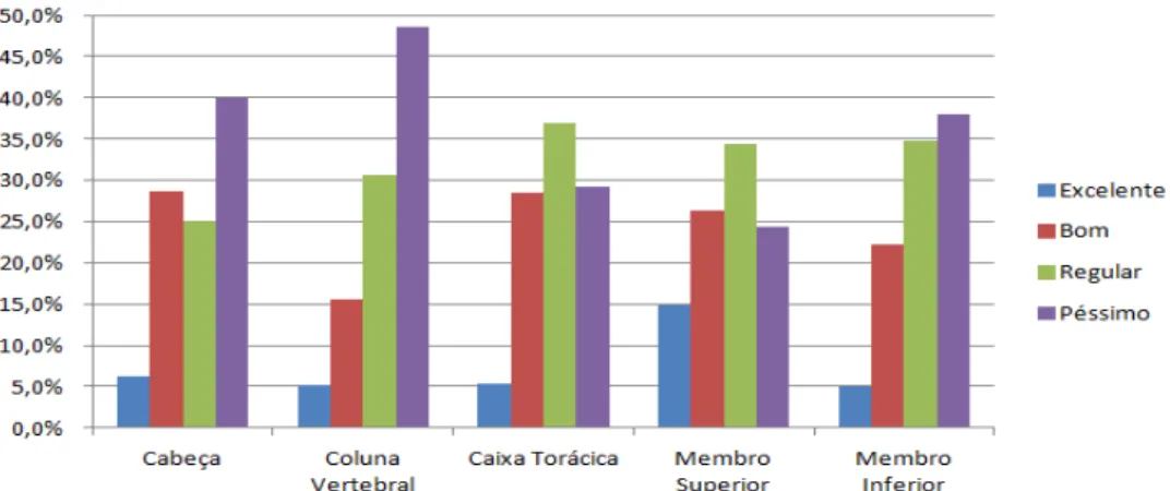 Gráfico 2 - Caracterização qualitativa do total de 1.398 peças ósseas contidas no ossário do Departamento de Morfologia da Universidade Federal do Ceará e registradas, estratificados por região topográfica do corpo humano, na  base de dados OssosID.