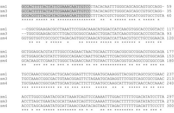 Figura  14  -  Alinhamento  múltiplo  das  sequências  de  cDNA  das  osmotinas  de  P