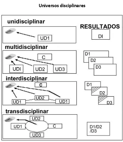 Figura 5   Universos disciplinares 