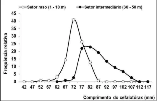 Figura  9  –  Estrutura  de  tamanhos  relativos  das  lagostas  Panulirus  argus   (Latreille,  1804)  capturadas  durante  amostragem em águas rasas (1-10 m) e intermediárias (30-50 m) no ano de 2013 na plataforma continental do  estado do Ceará, Brasil