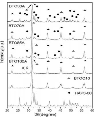 Fig. 3. X-ray diffraction of he HAP3-60, BTOC powders and BTO100B, BTO85B, BTO70B, BTO30B, BTO10B thick films.