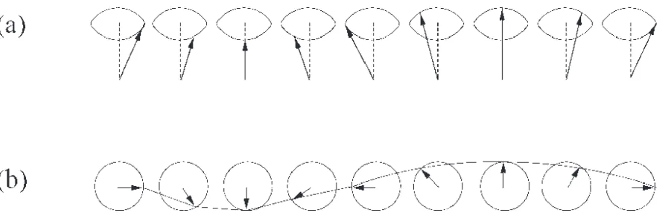 Figura 1: Onda de spin em uma cadeia ferromagn´etica com spins mostrados em perspec- perspec-tiva, em (a), e de cima em (b),enfatisando o seu comprimento de onda.
