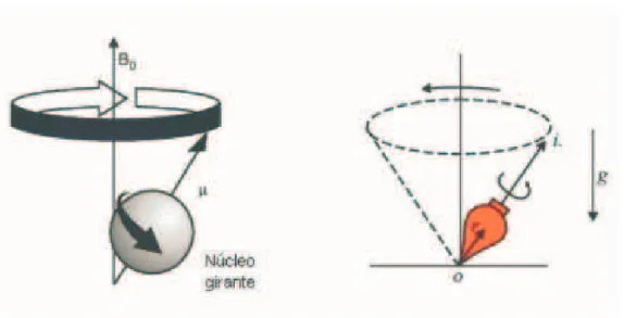 Figura 5: Analogia entre os efeitos de um campo magn´etico e um campo gravitacional.