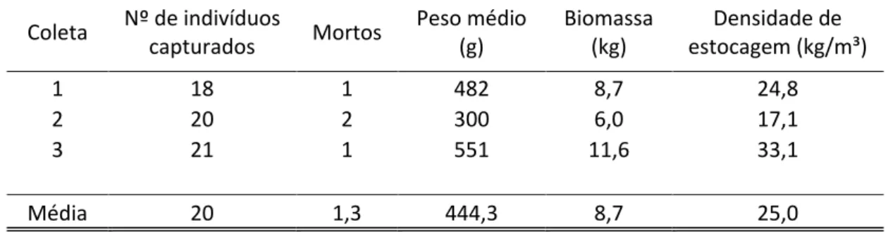 Tabela 1: Coleta, número de indivíduos transportados, indivíduos mortos, peso médio, biomassa  transportada e densidade de estocagem no transporte de exemplares de O