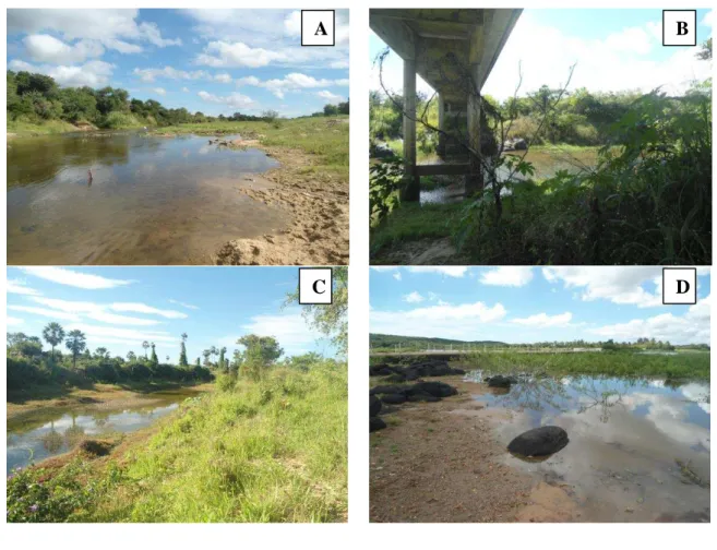 Figura 2.3  –  Locais de coleta dos sedimentos fluviais nos rios Curu (A  –  montante e B  –  jusante) e  São Gonçalo (C – montante e D – jusante)