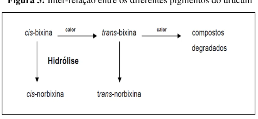 Figura 3: Inter-relação entre os diferentes pigmentos do urucum