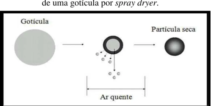 Figura 5: Diagrama esquemático do processo de secagem  de uma gotícula por spray dryer