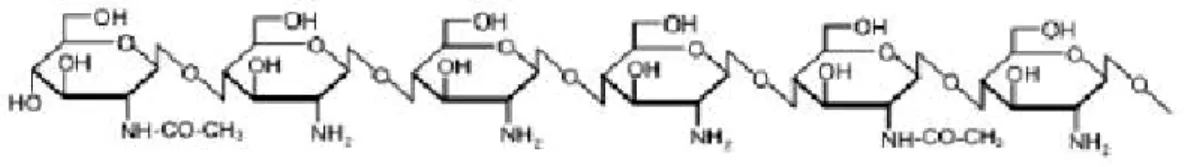 FIGURA 1- Estrutura molecular da quitosana (THARANATHAN, 2003) 