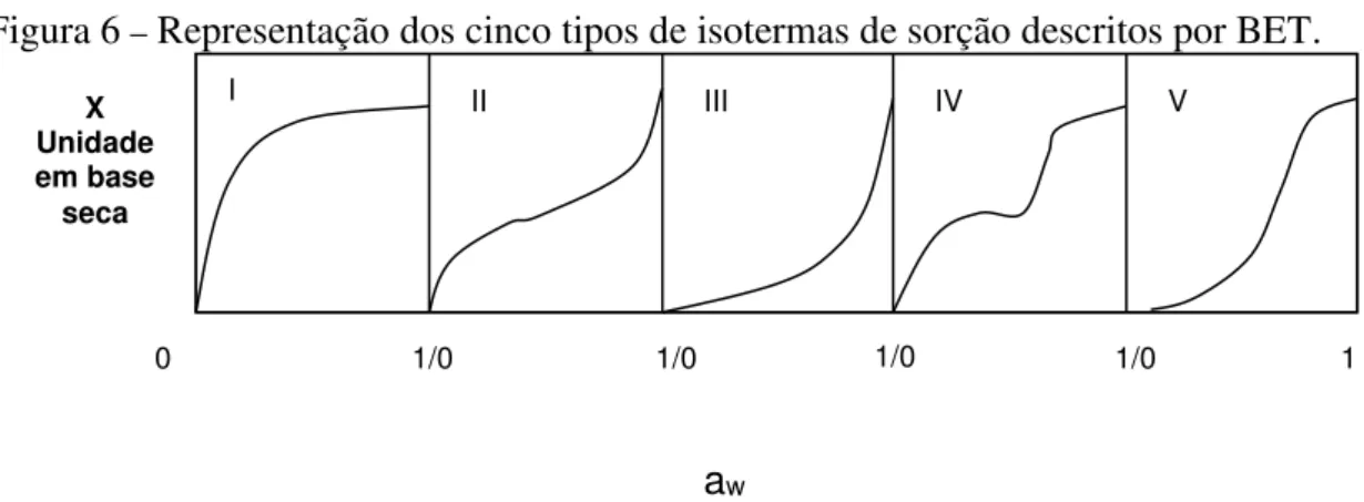Figura 6  –  Representação dos cinco tipos de isotermas de sorção descritos por BET. 