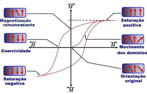 Figura 3 – Perfis magnéticos para nanopartículas. 