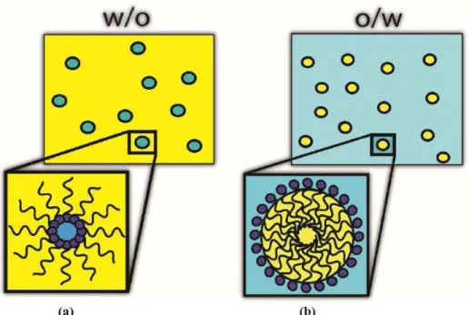 Figura 6. Tipos de microemulsão: (a) água em óleo (w/o) a (B) Óleo em água (o/w). 