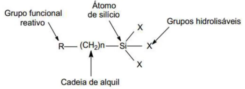 Figura 11 - Figura geral de um agente de acoplamento silano. 