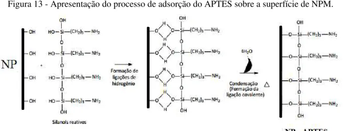 Figura 13 - Apresentação do processo de adsorção do APTES sobre a superfície de NPM. 