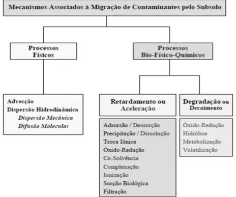 Figura 1 – Mecanismos envolvidos na migração da pluma de contaminação (THOMÉ, KNOP, s.a.) 