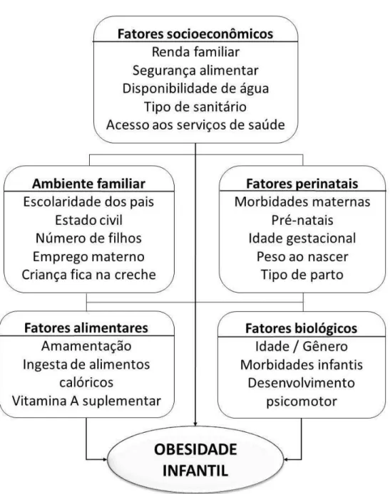 Figura 4 - Modelo teórico conceitual hierarquizado dos fatores de risco para obesidade  infantil