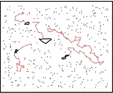 Figura 2.4:: exemplo de caminhada do turista em um mapa aleat´ orio bidimensional.