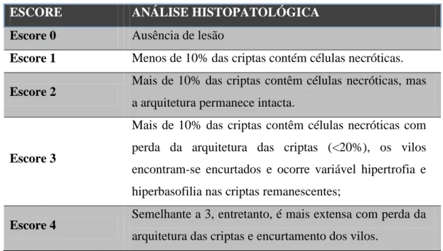 Tabela 3. Escore de análise histopatológica para intestino delgado  ESCORE  ANÁLISE HISTOPATOLÓGICA  Escore 0  Ausência de lesão 