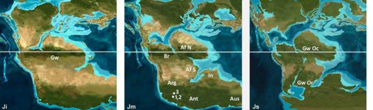 Figura 27. Reconstrução paleogeográfica do Gondwana em três tempos do Jurássico (modificado de Scotese, 2001) e a  ocorrência de anuros: Ji - Eojurássico; Jm - Mesojurássico; Js - Neojurássico; Gw - Gondwana; Af N - África norte; Af S  - África sul; Ant - 