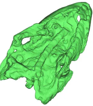 Figura 7: Modelo 3-D do crânio do espécime LP UFC/CRT 722 em vista ventral mostrando o hióide esquerdo