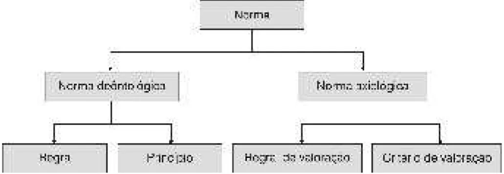 Ilustração 1: Tipos de norma