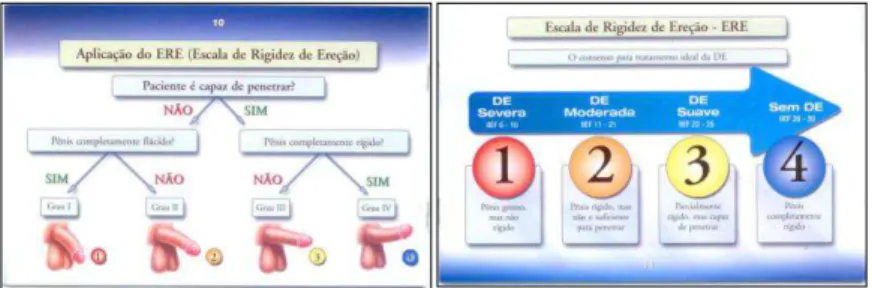 Figura 1: Livreto “Disfunção erétil: recomendações de tratamento na prática  clínica”, pp