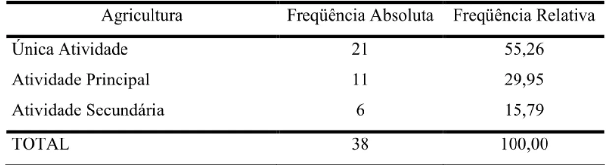 Tabela 8 Freqüência Absoluta e Relativa Produtores de Banana de Mauriti CE em relação à Prioridade Dada à Atividade Agrícola