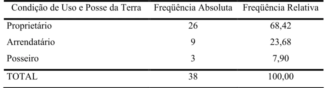 Tabela 12 Freqüência Absoluta e Relativa dos Produtores de Banana de Mauriti CE em relação à Condição de Uso e Posse da Terra