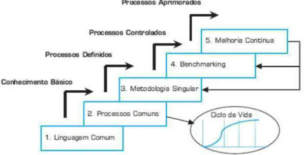 Figura 9 – Project Management Maturity Model – PMMM    