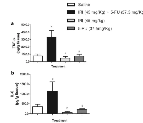 Fig. 5    Intestinal levels of  TNF-α and IL-6 are increased  during mucositis induced by  the combination of irinotecan  and 5-fluorouracil