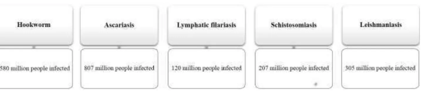 Figure 1 - Neglected diseases and the number of people infected.