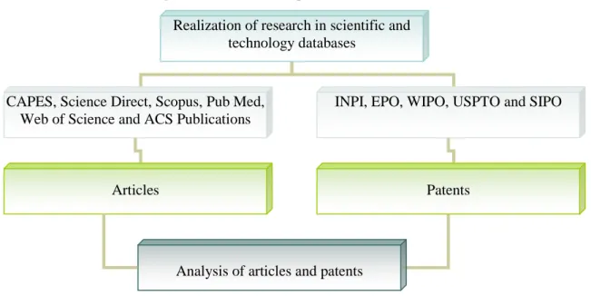 Figure 3 - Flowchart of steps of realization of this research.