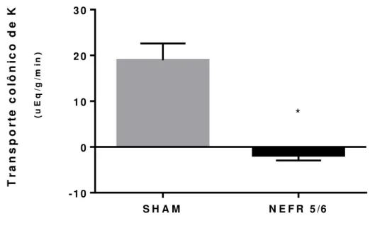 FIGURA 11 –  Transporte colônico de potássio em ratos falso-operados (SHAM)  e ou nefrectomizados parcialmente (NEFR) após 03 dias 