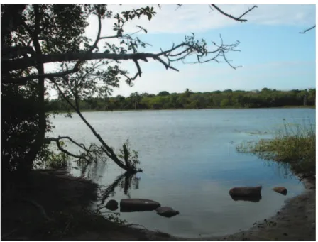 Figura 5 – Lagoa dos Tapeba. Fotografia de Raimunda Cruz. Julho / 2008. 