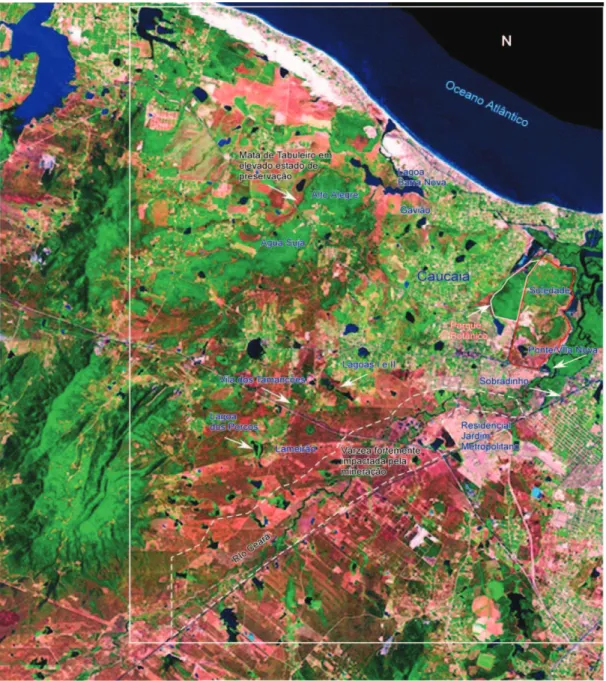 Figura 1 - Foto satélite de Caucaia – CE 