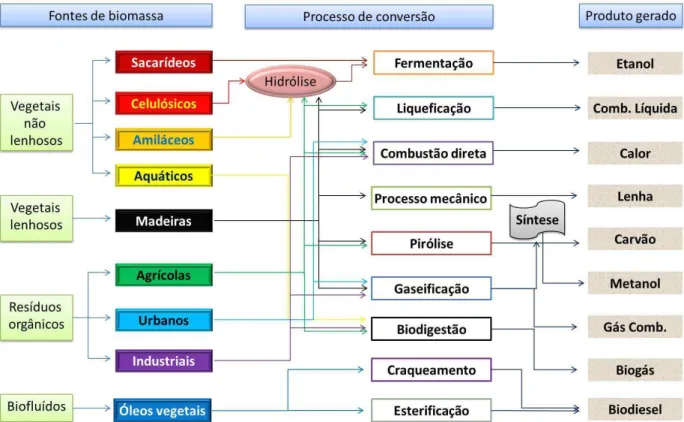 Figura 2: Diagrama esquem´atico dos processos de convers˜ao energ´etica da biomassa [8].