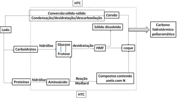 Figura 4: Mecanismo para o HTC utilizando como fonte precursora de carbono o lodo formado no tratamento de ´aguas residuais