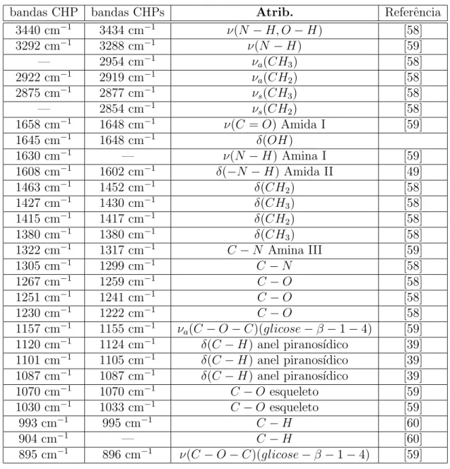 Tabela 2: Atribui¸c˜ao tentativa dos modos vibracionais das quitosanas CHP e CHPs.