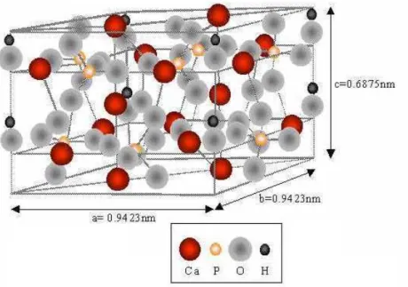 Figura 2.2 – Hidroxiapatita (Mcgregor, 1998 apud Campos, 2008). 