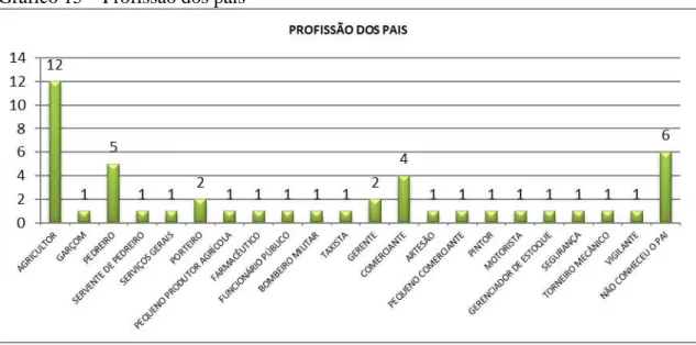 Gráfico 15  –  Profissão dos pais