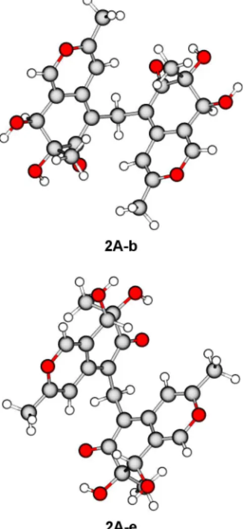 Figure 4. Most populated equilibrium conformers of 2A.