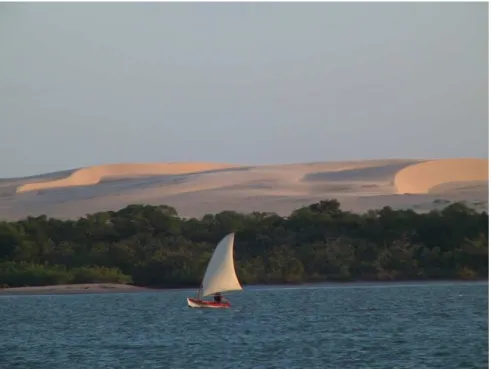 Figura 06: Campo de dunas na margem direita do estuário do rio Jaguaribe. Fonte: acervo do autor
