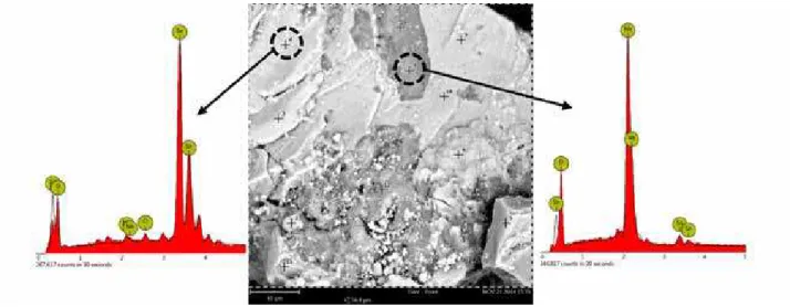 Figura 4: Micrografia obtida por microscopia eletrônica de varredura e espectros de EDS do sistema SNL