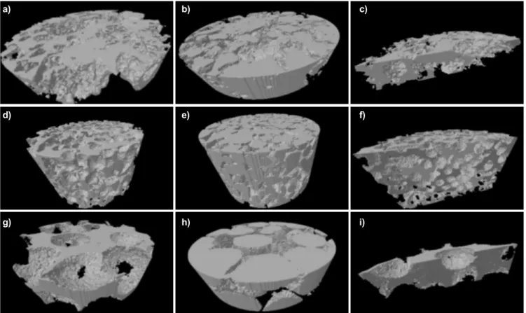 Figura 2: Imagens 3D de  mCT de amostras tratadas a 700 °C de (a-c) VBC, (d-f) VBP1 e (g-i) VBP2: (a,d,g) - scaffold; (b,e,h) - estrutura  de poros; (c,f,i) - estrutura interna.