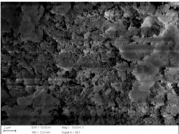 Figura  5:  Micrografia  obtida  por  microscopia  eletrônica  de  varredura de HAp Sin verde.