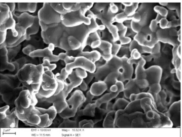 Figura  9:  Micrografia  obtida  por  microscopia  eletrônica  de  varredura da amostra HAp Sin 1200 °C.