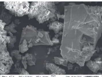 Figura  6:  Micrografia  obtida  em  microscópio  eletrônico  de  varredura  EAF-sílica,  na  forma  densificada